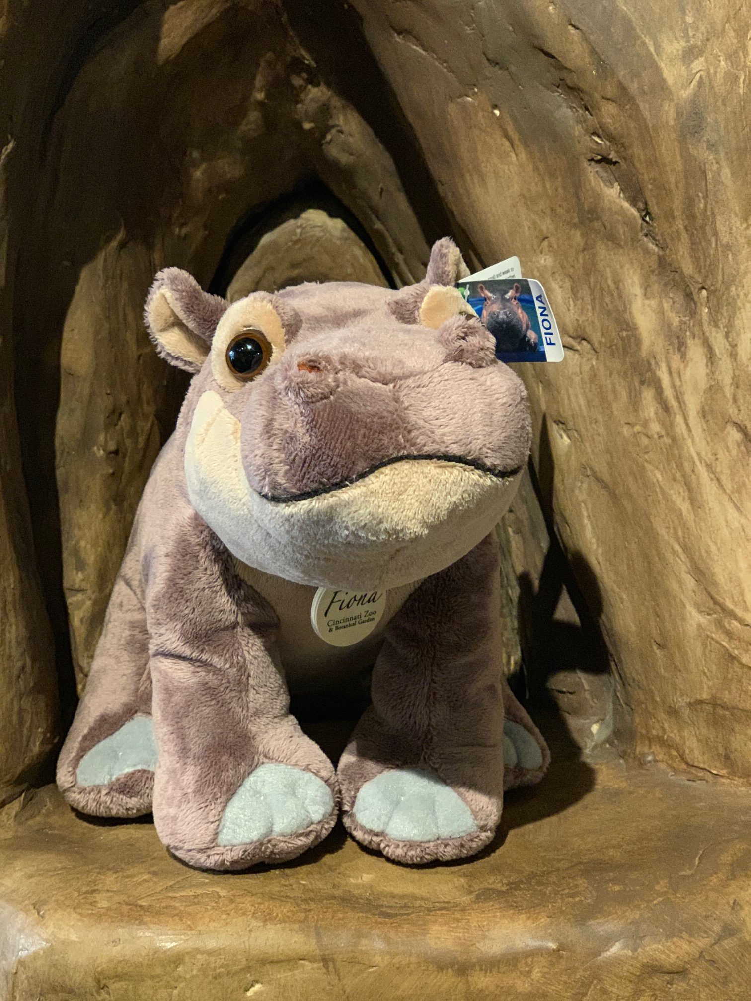 Fiona stuffed shop hippo