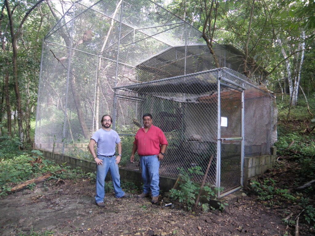 Image showcasing Saving Scarlet Macaws in Guatemala - Cincinnati Zoo & Botanical Garden