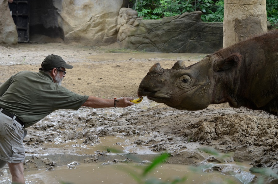 Journey has Begun for Cincinnati Zoo’s Harry