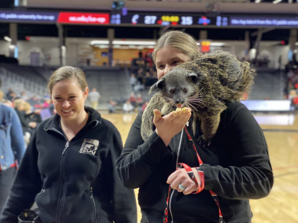 Lucille the Bearcat Ambassador Attends First UC Basketball Game