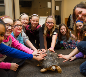 group of young women in half circle smiling at camera while gently touching tortoise