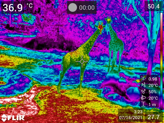 Using Infrared Thermography to Non-Invasively Assess Animal Health