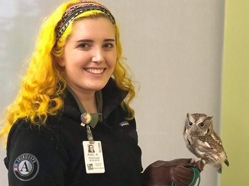 Americorps member holding small screech owl (bird)