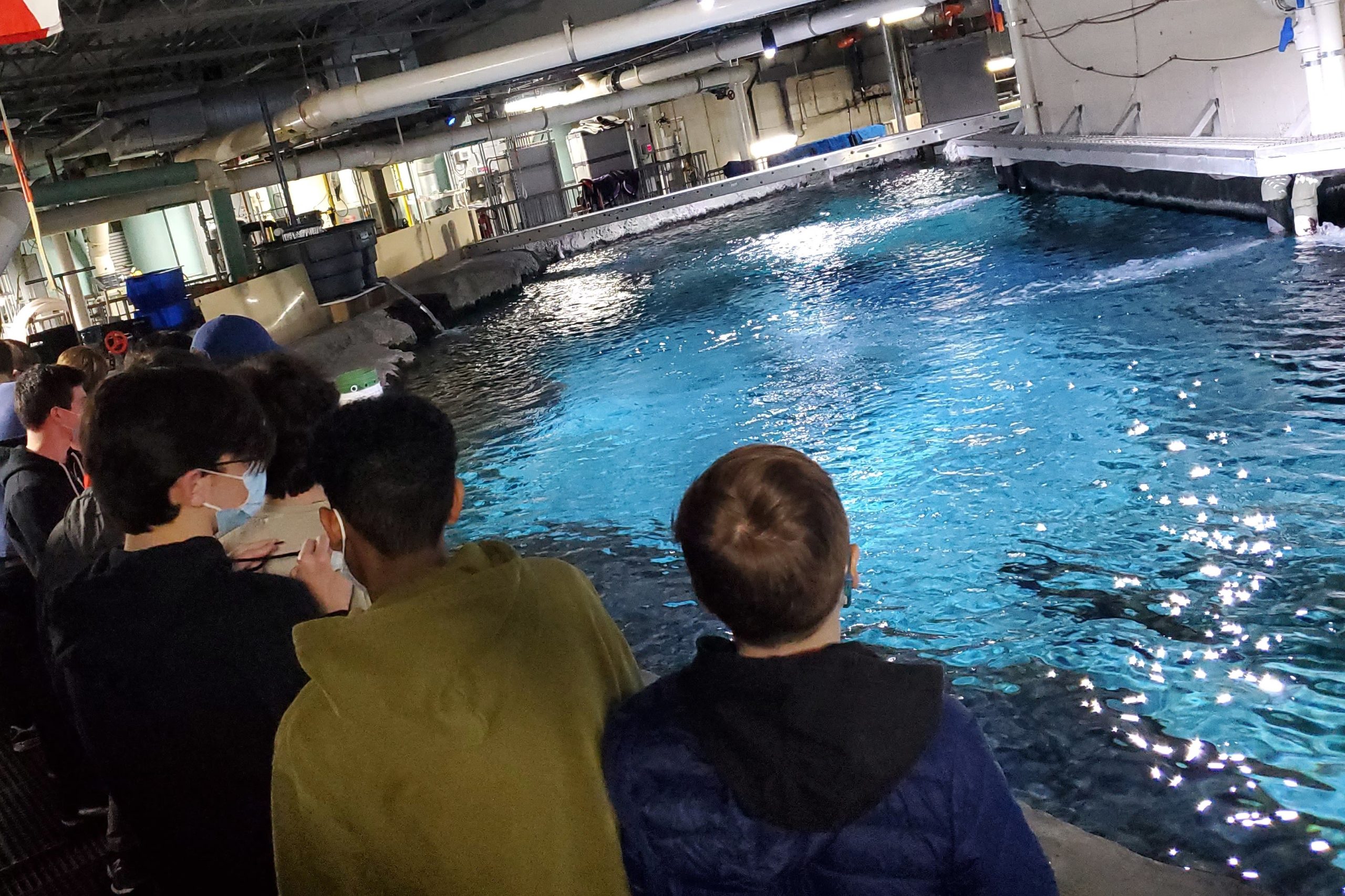 group of students standing behind the scenes over looking a alrge pool of water