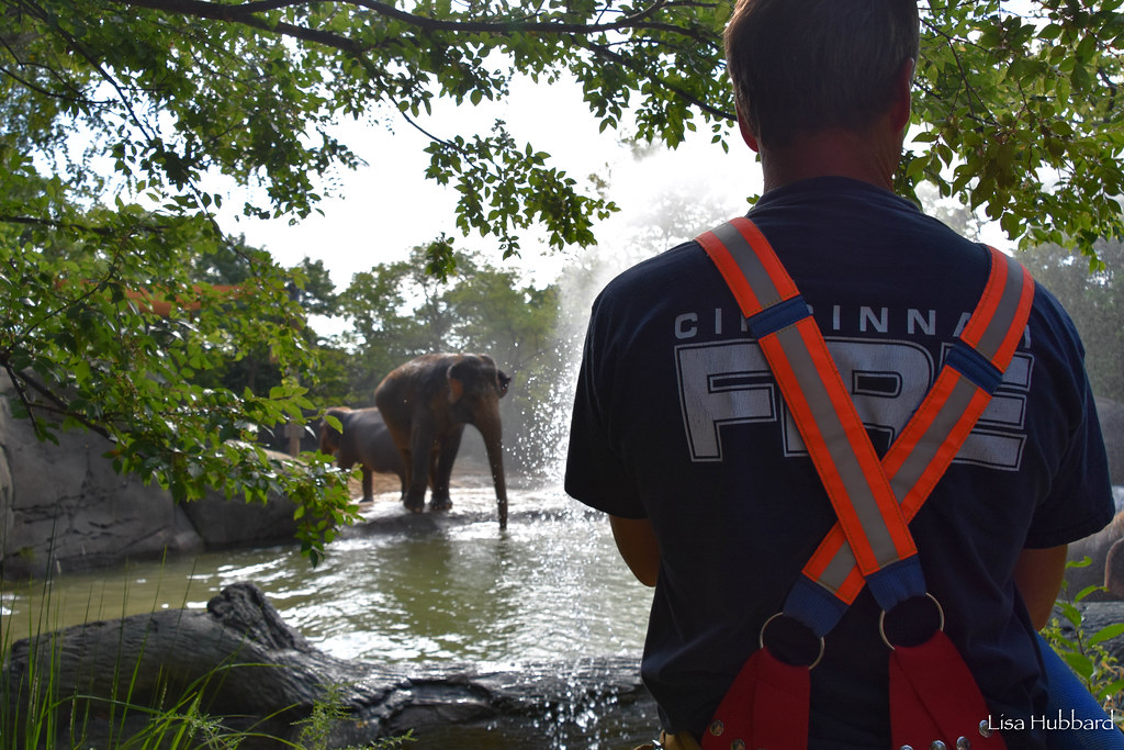Cincinnati Zoo Offers Free Admission for First Responders and Military 9/8 – 9/11