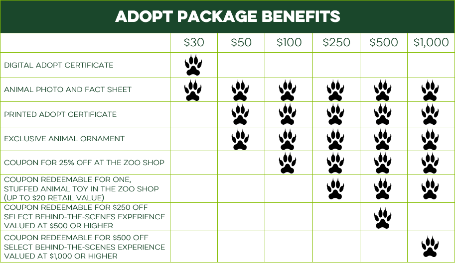 adopt an animal options