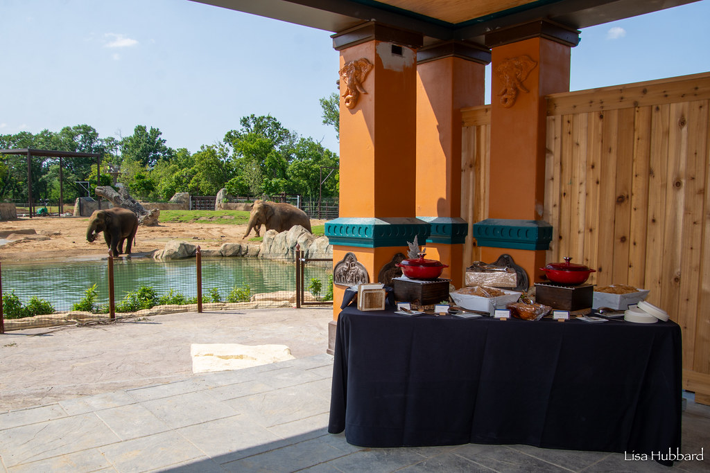 dining at elephant trek