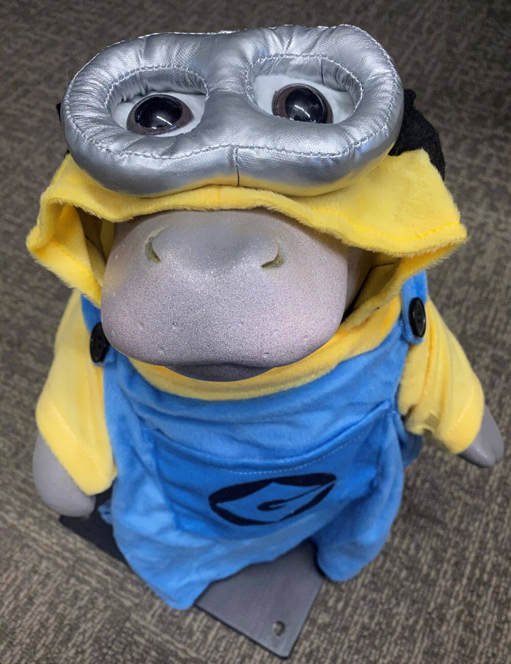 hippo in a costume