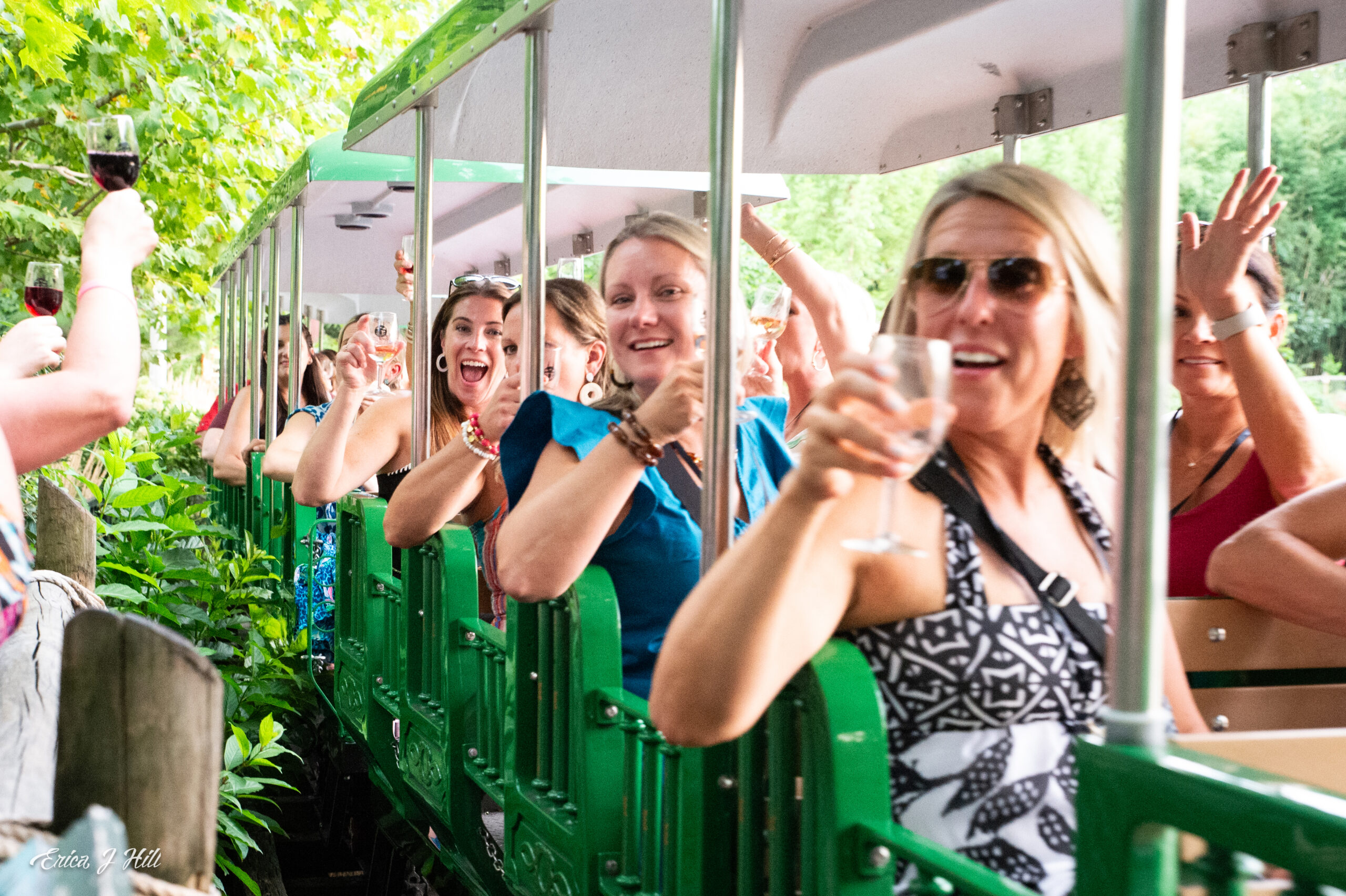 a toast to the wild event train