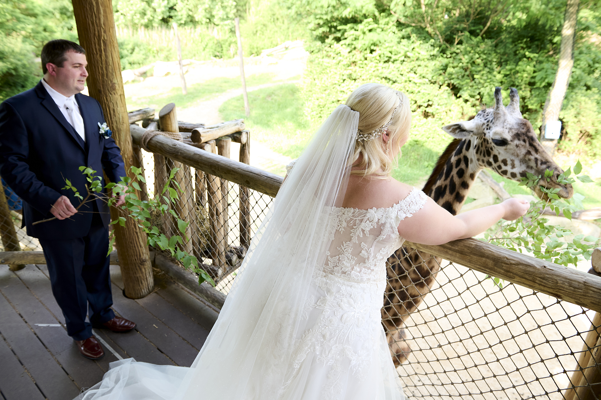 bride feeding giraffe