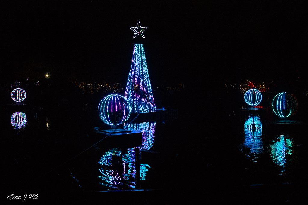 photo of led lights shaped as a globe and a christmas tree with a star on top floating in the zoo's swan lake