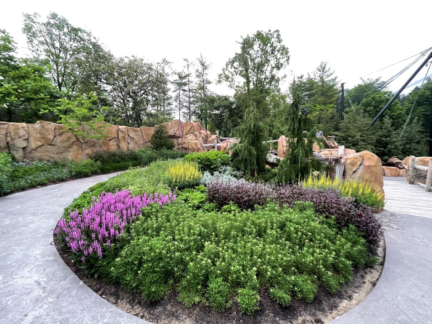 garden at the exit of Roo Valley featuring purple flowers and a path circling between the flowers