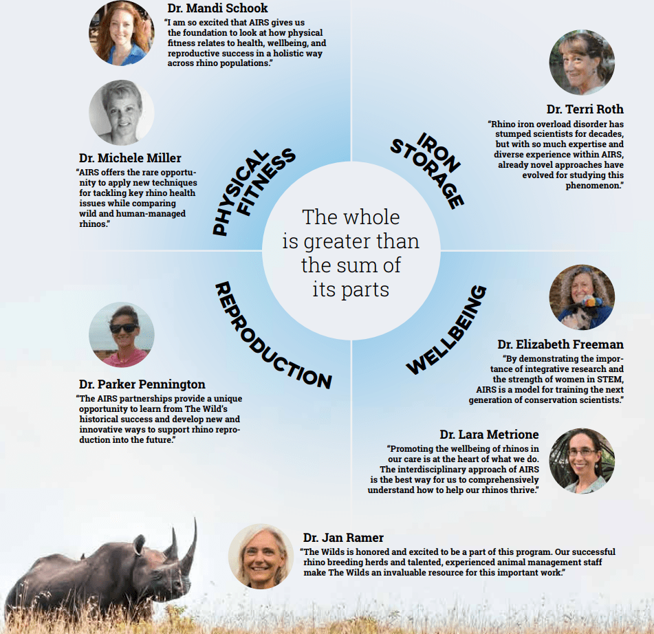 rhino program graphic