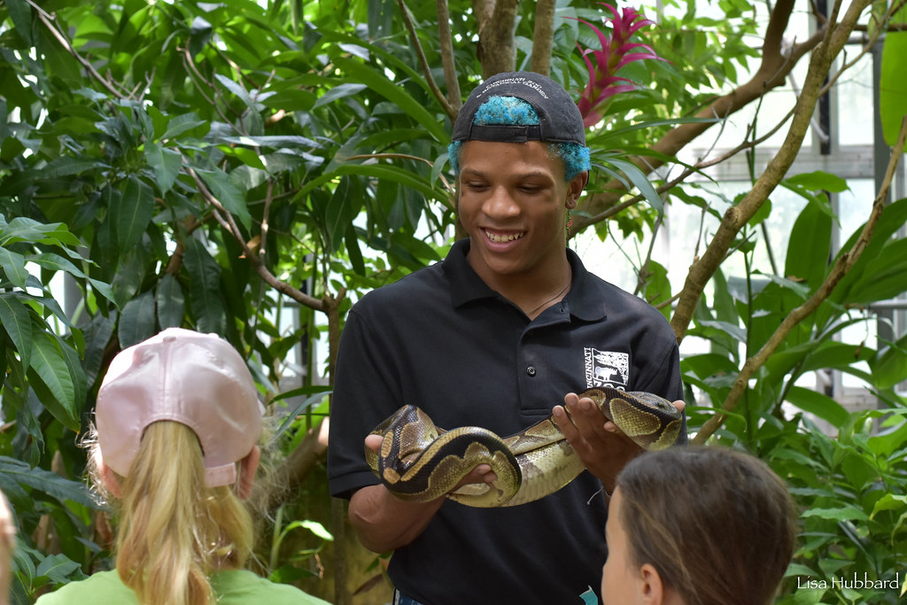handler holding a snake while guests look on