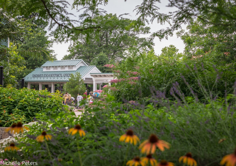 photo of garden at the main entrance with yellow flowers