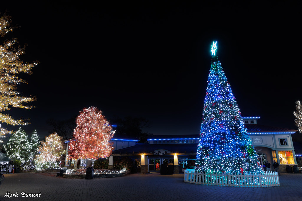 The 41st Annual PNC Festival of Lights at the Cincinnati Zoo