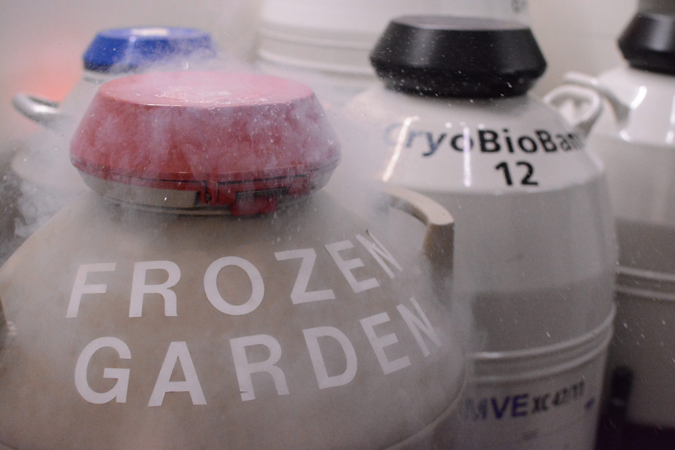 Frozen Garden Cryopreservation containers