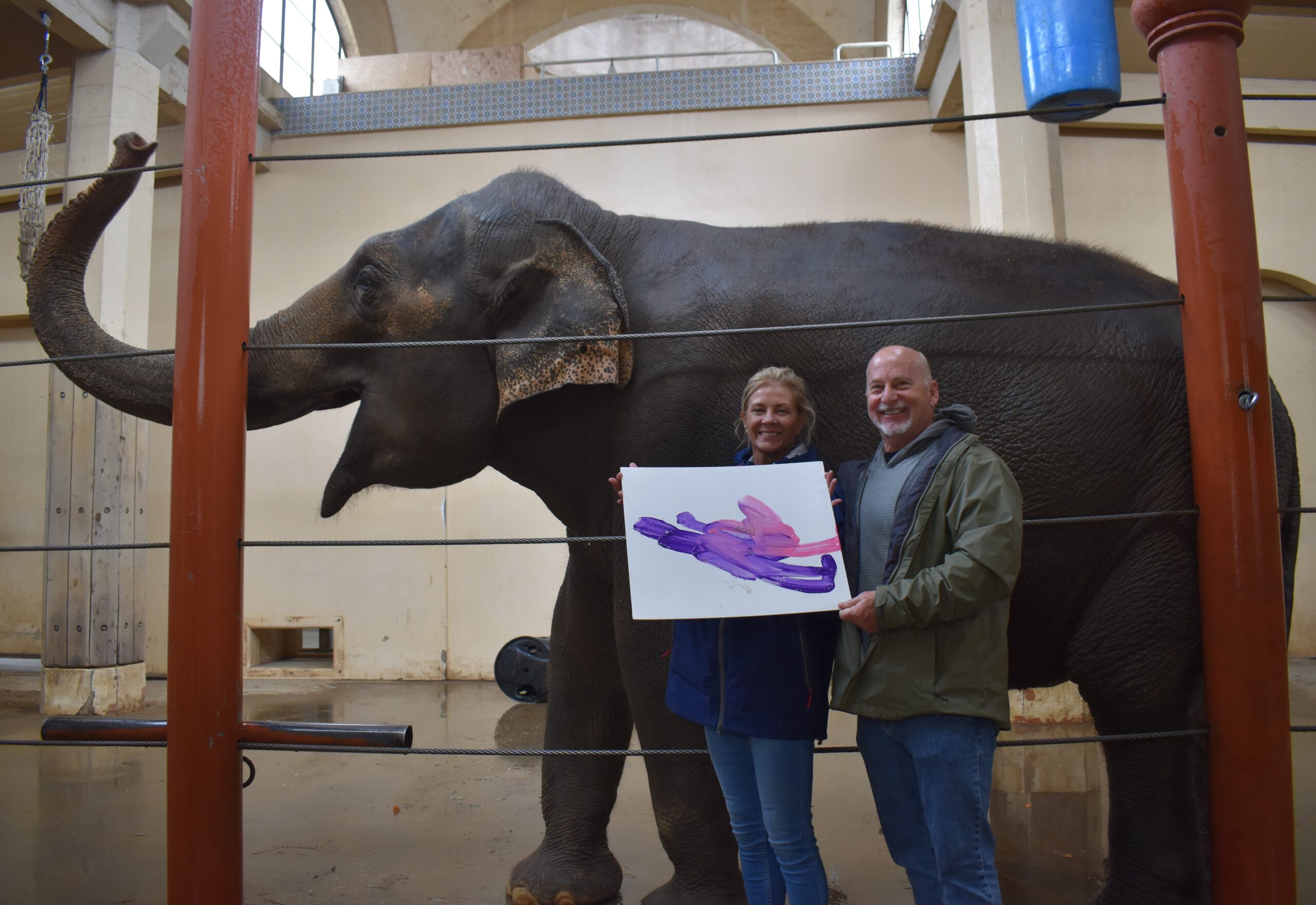 a man and woman holding a painting done by an elephant with the elephant standing in the background