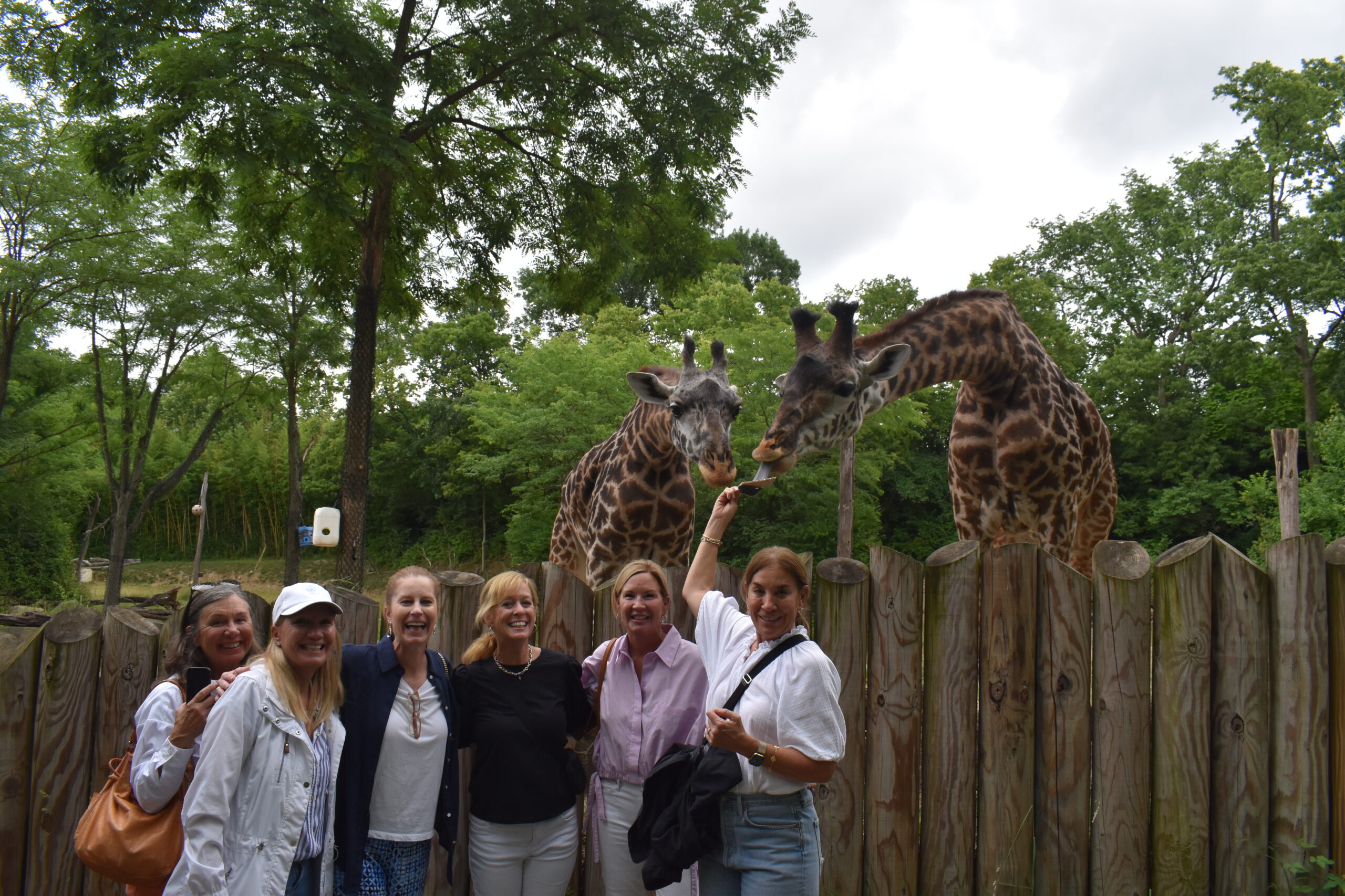 six women standing in front of a wood wall with two giraffe behind them
