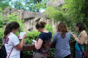 AIP graduate students observing the gorillas.