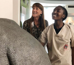 photo of dr terri roth showing a student a rhino ultrasound at crew