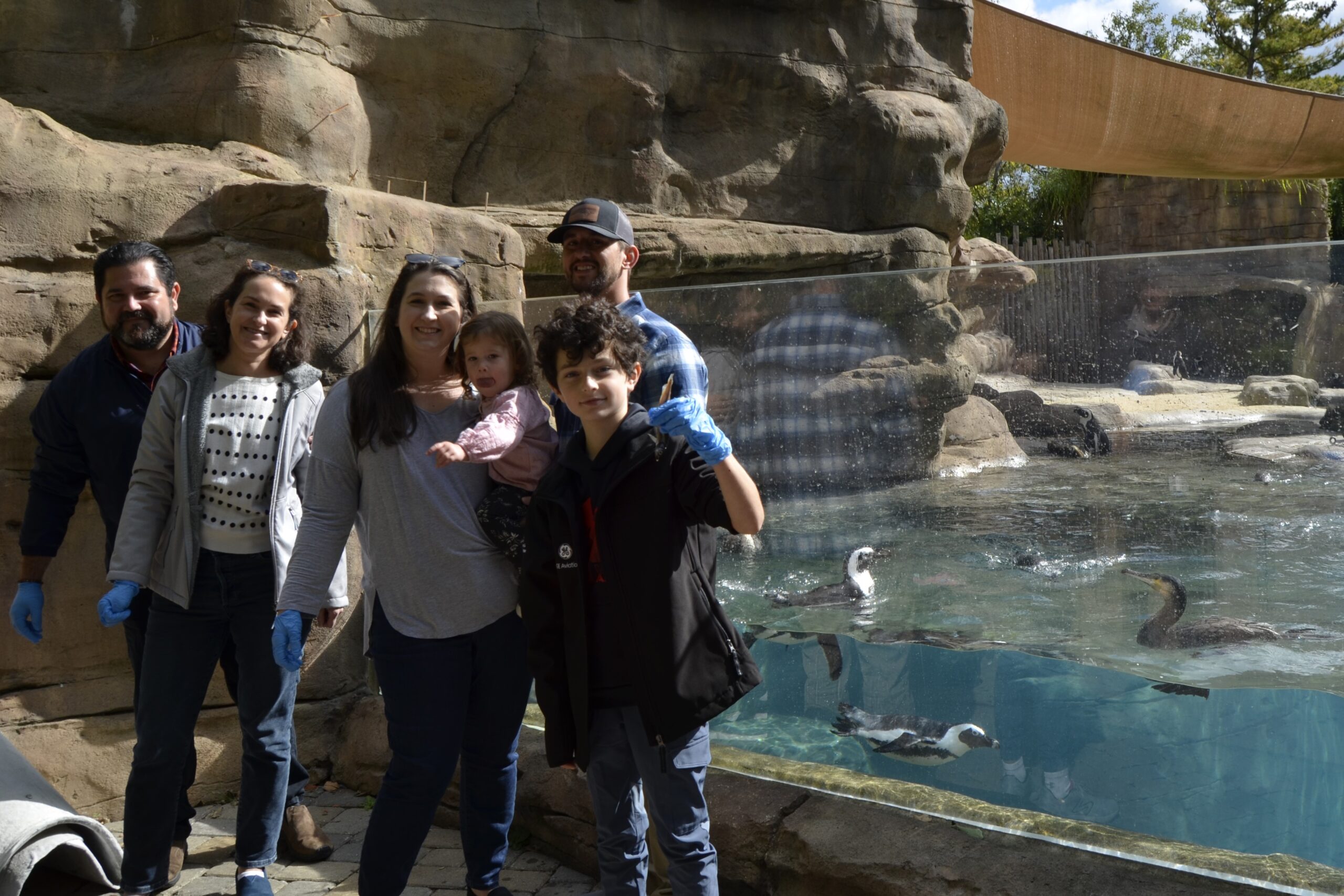 family standing in front of african penguins swimming