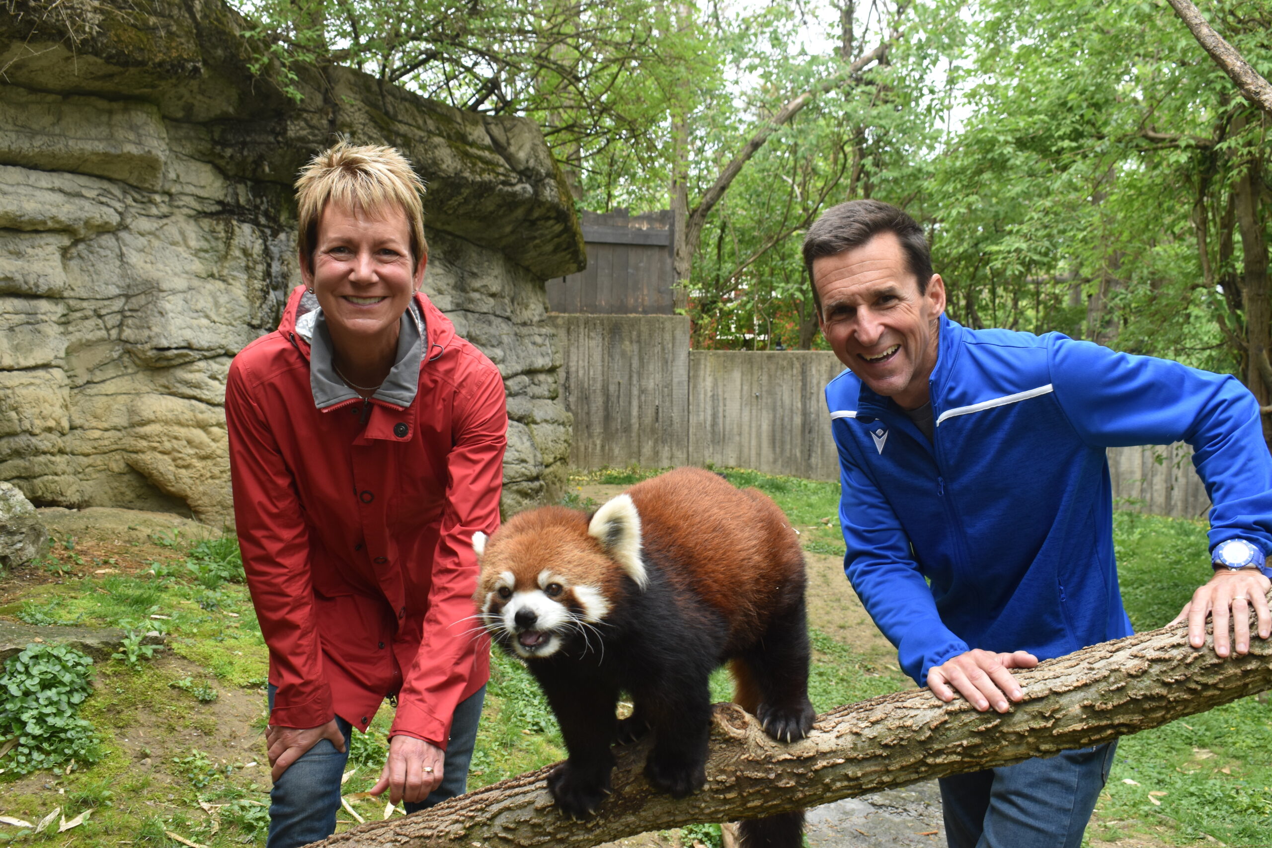 two people standing in the red panda habitat with a red panda in between them