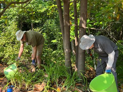 volunteers working in a garden