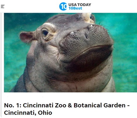 photo of USA today article naming the Cincinnati Zoo as #1 zoo in the country with a photo of baby fiona the hippo