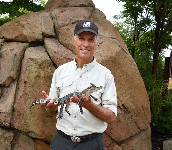 Zoo Director Thane Maynard holding a small alligator in front of a large rock