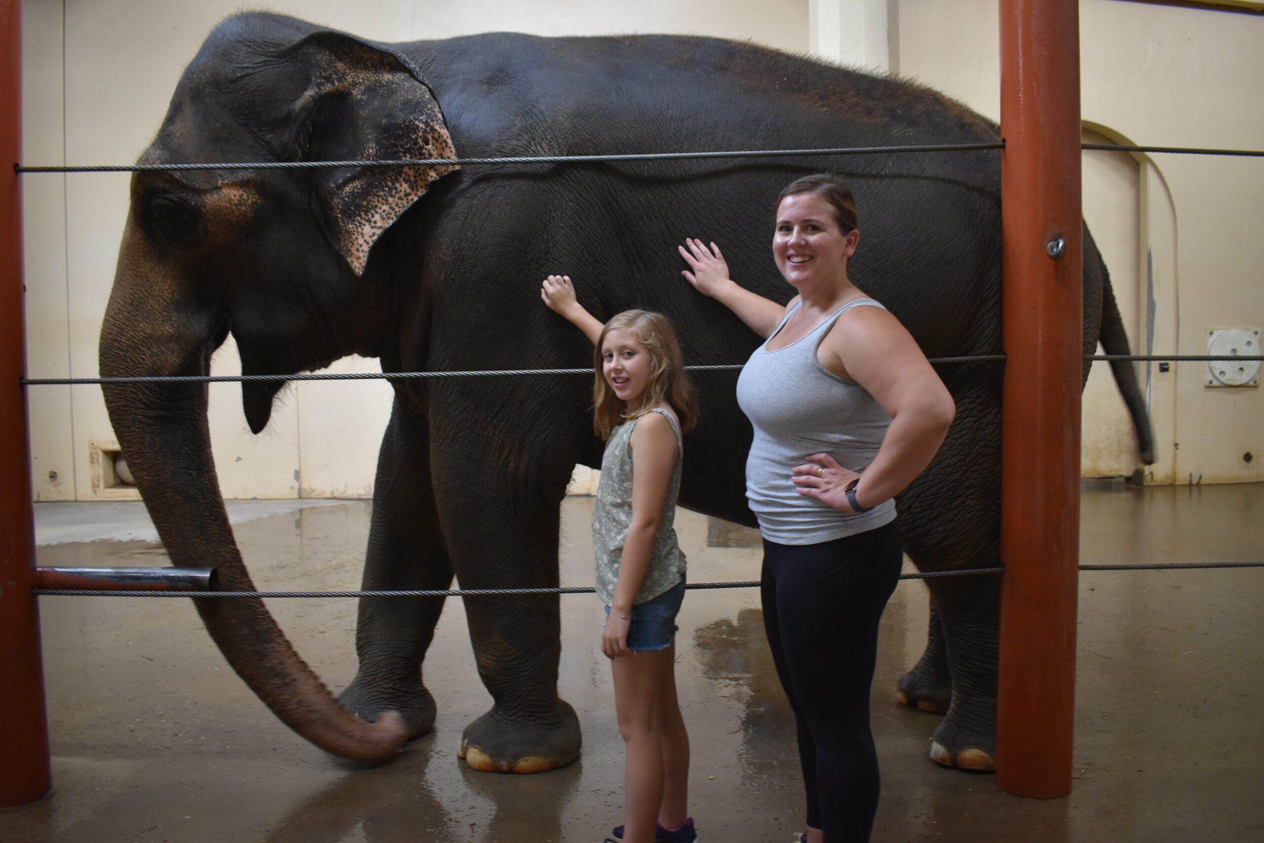 two women standing in front of mai thai the elephant with their hand on her side