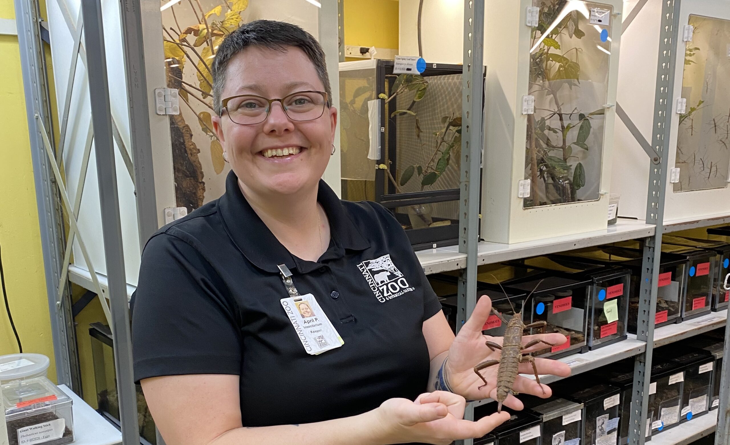 keeper smiling holding a stick insect