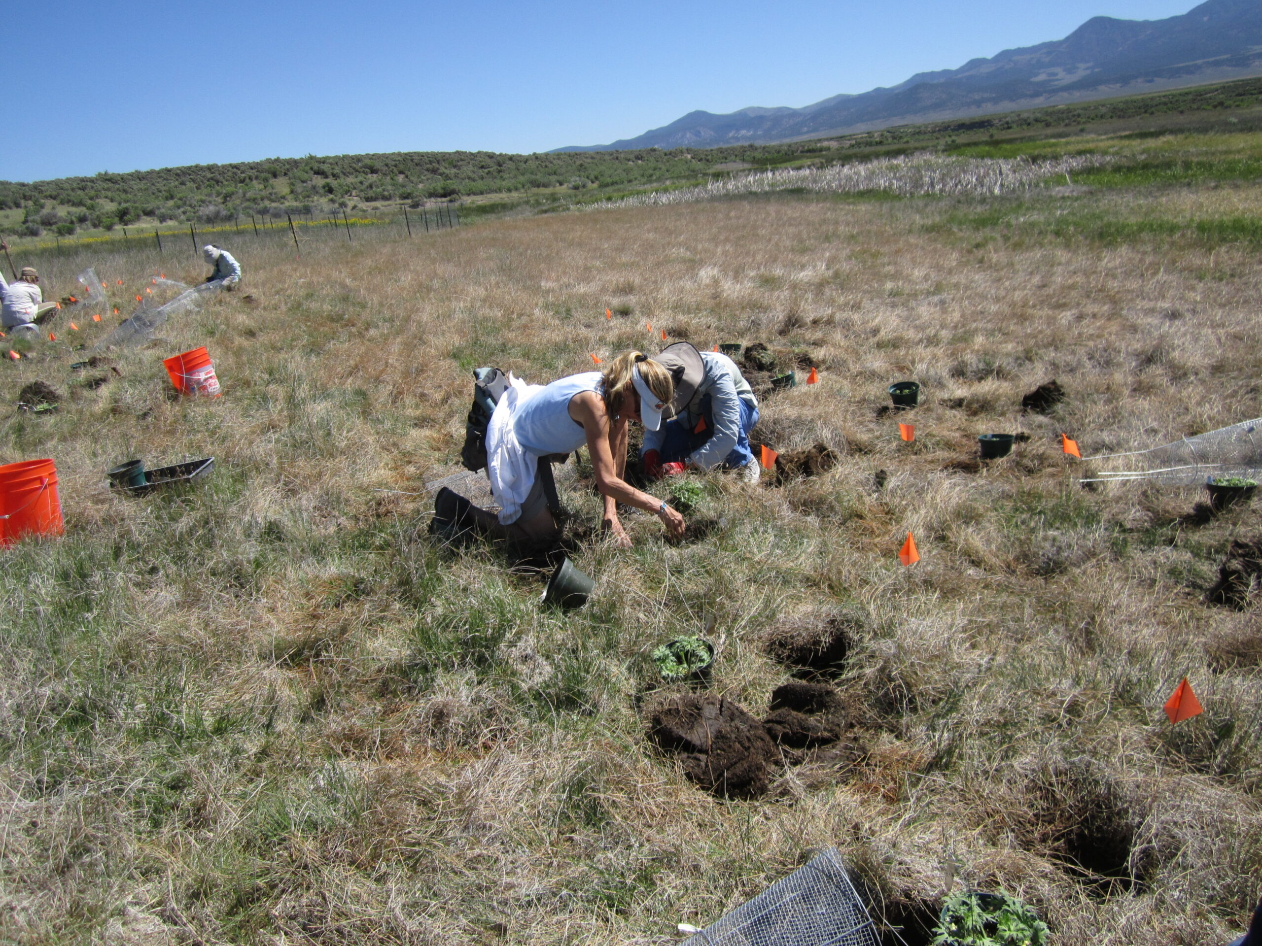 a person digging in the ground