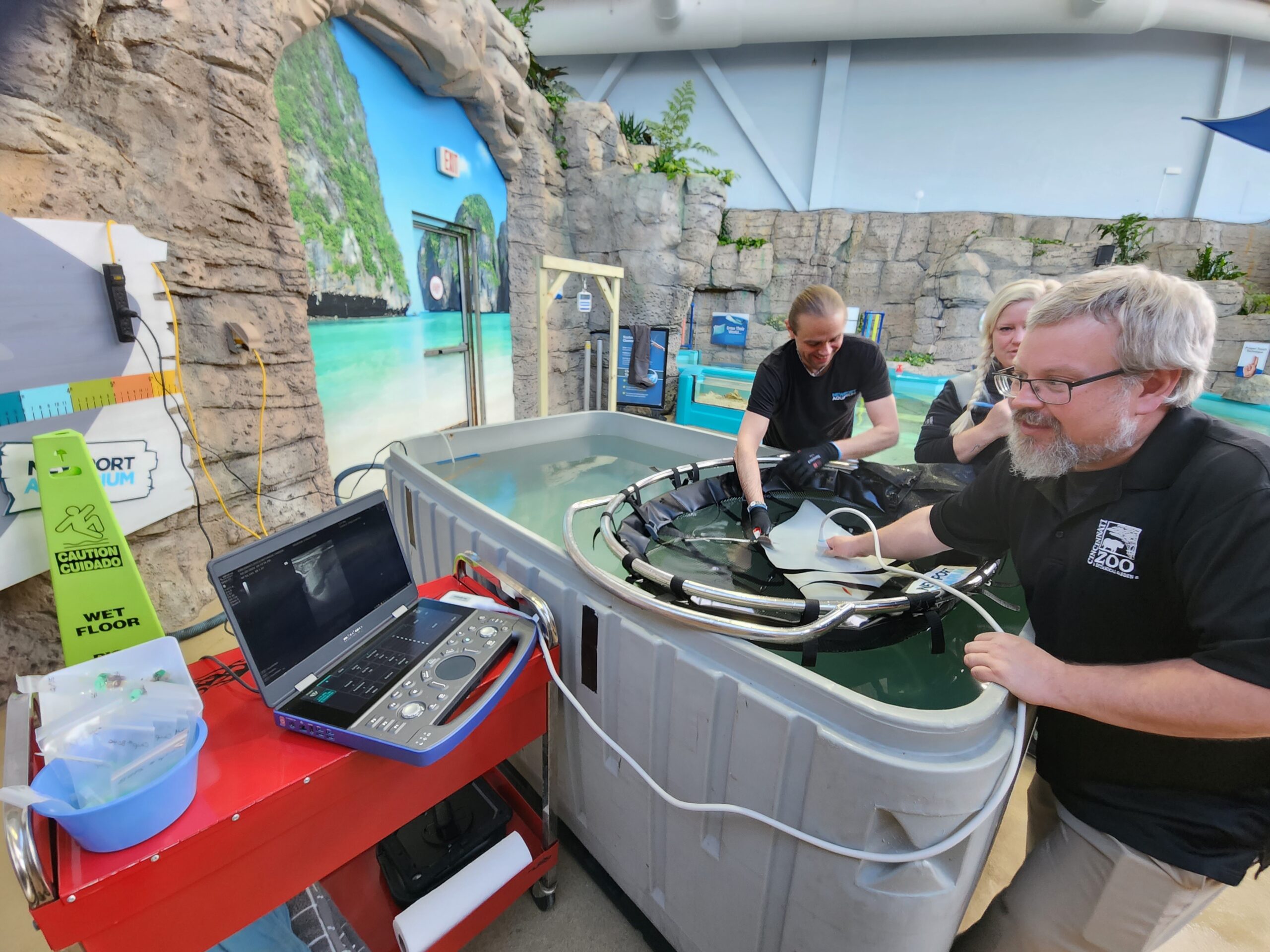 Cincinnati Zoo and Newport Aquarium Pull Off a Sting Operation