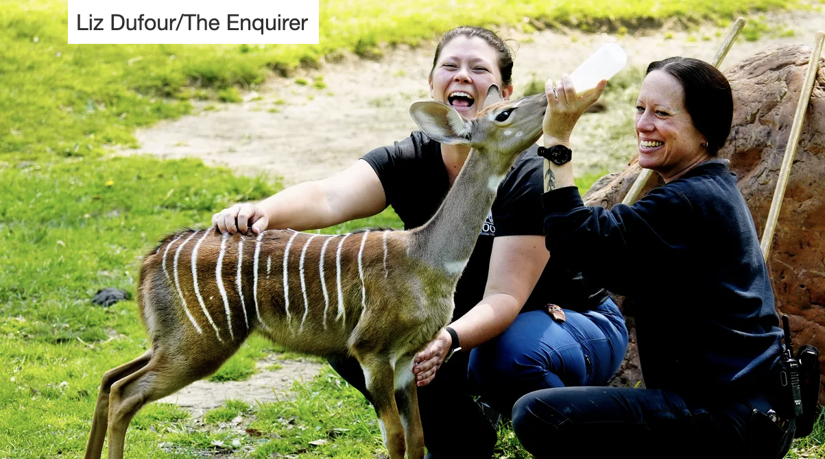 Meet the 2024 Zoo Babies! - Cincinnati Zoo & Botanical Garden