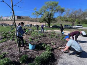 volunteers planting a garden