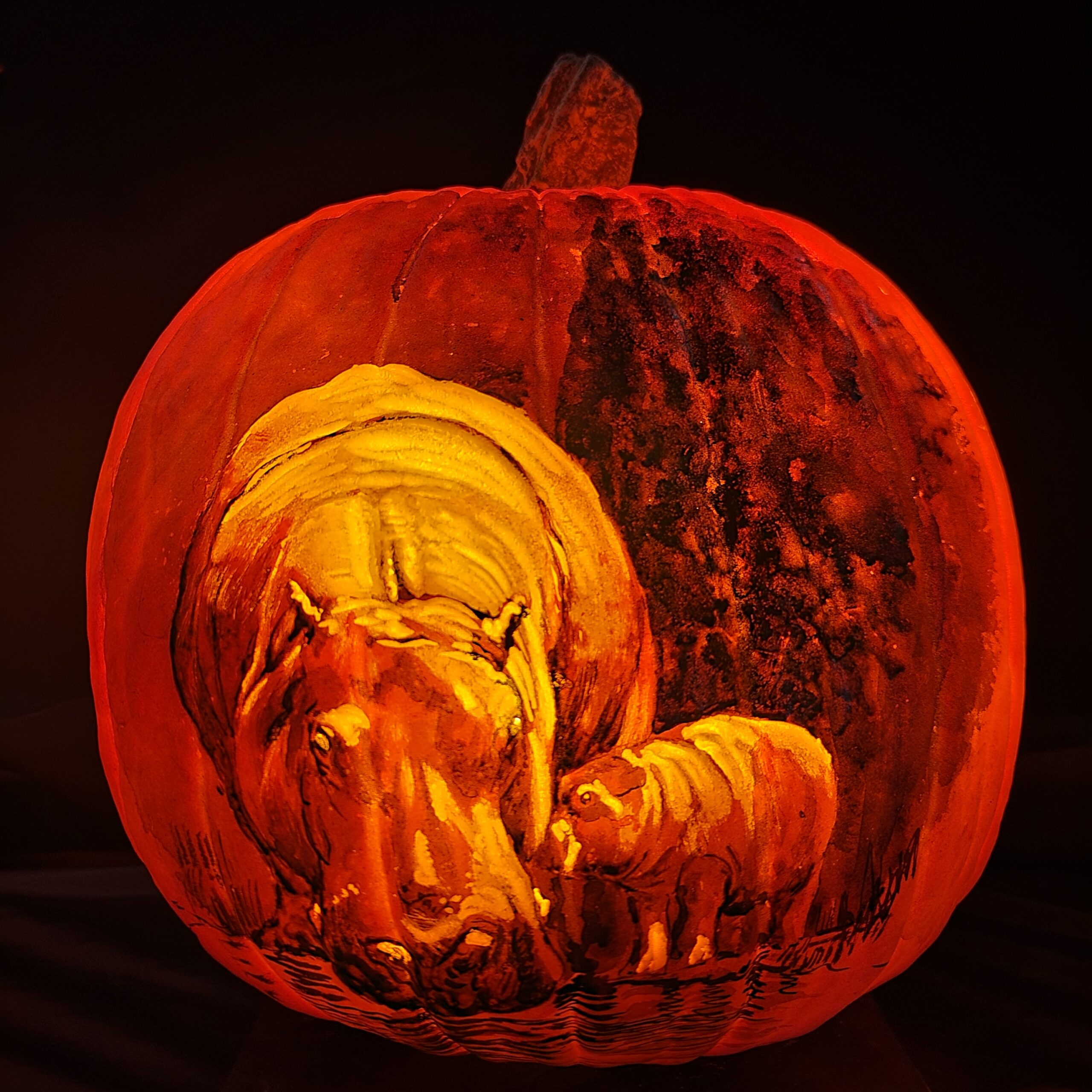 Get Pumped to See 5,000 Illuminated Pumpkins at Cincinnati Zoo’s New