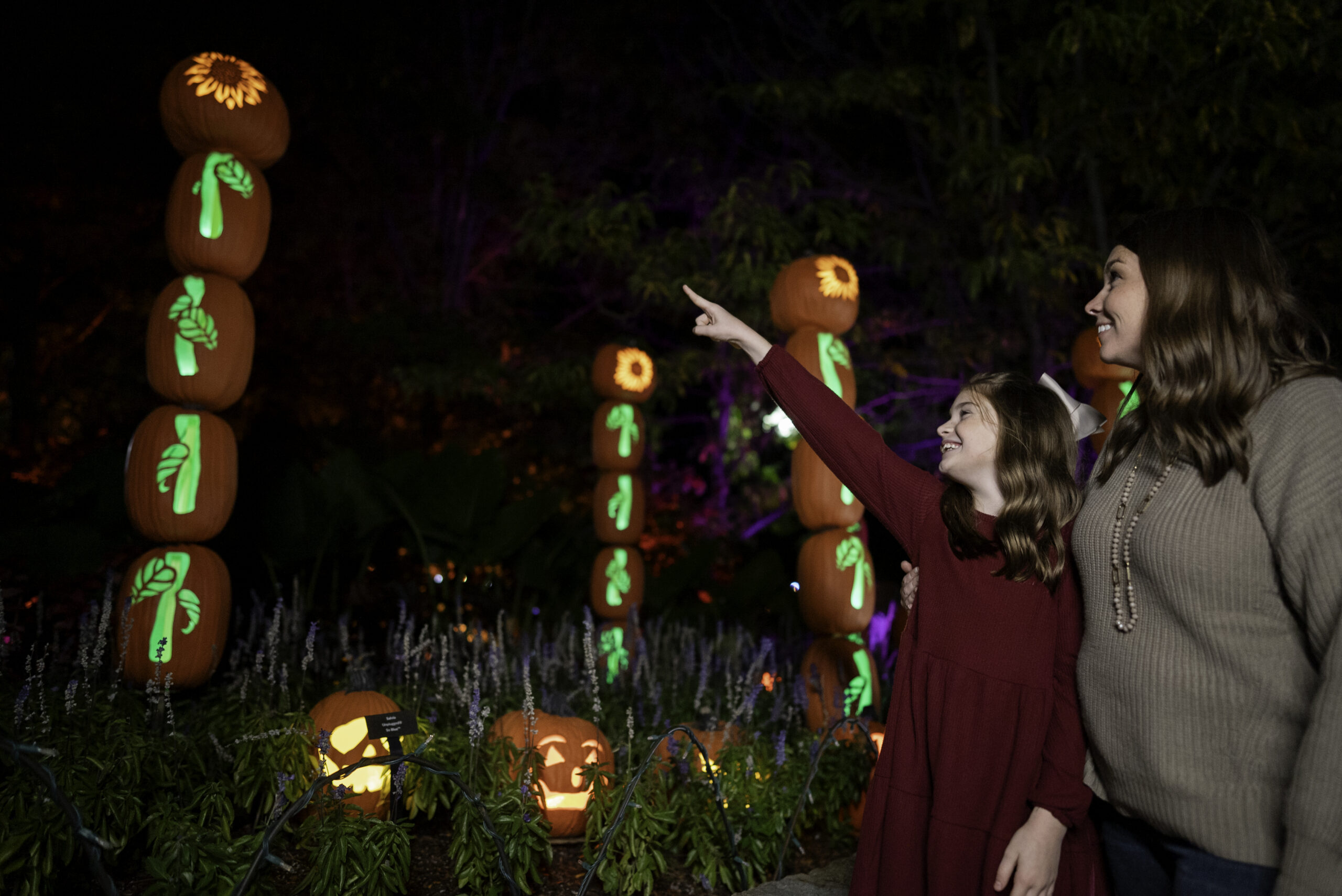 jack o lantern glow