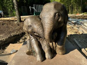 elephant sculpture