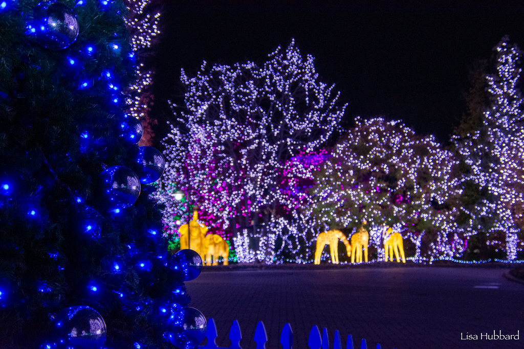 FOL PNC Festival of Lights