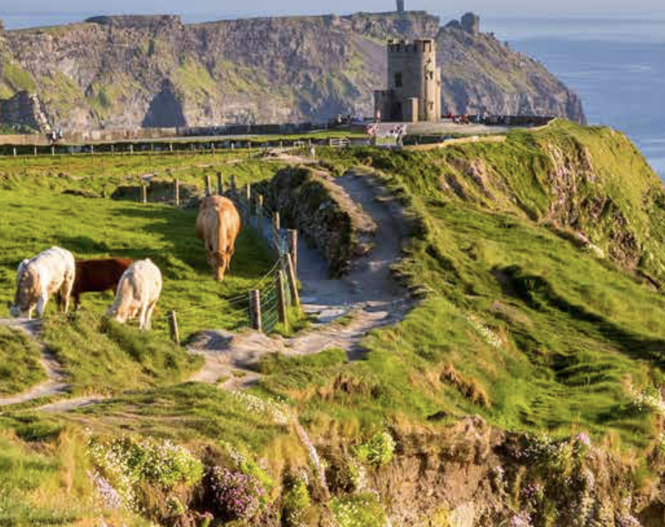 ireland travel with the zoo