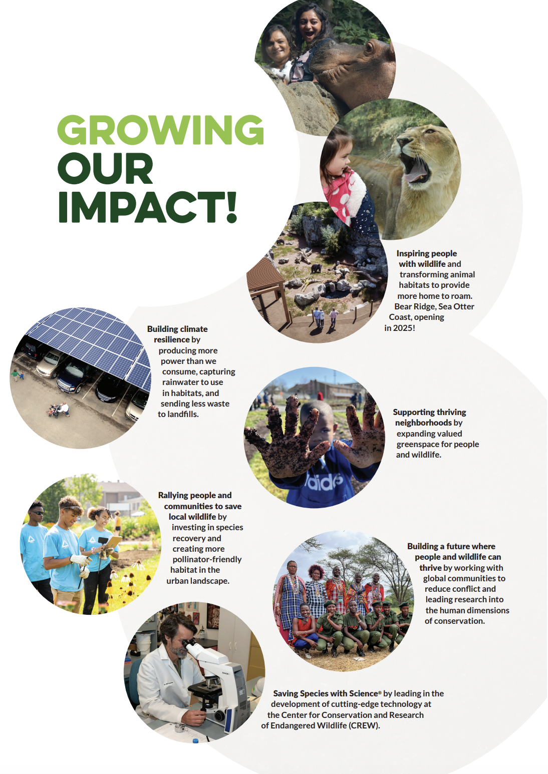 growing our impact