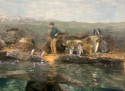 zoo academy