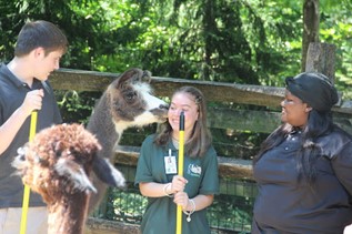 zoo academy students