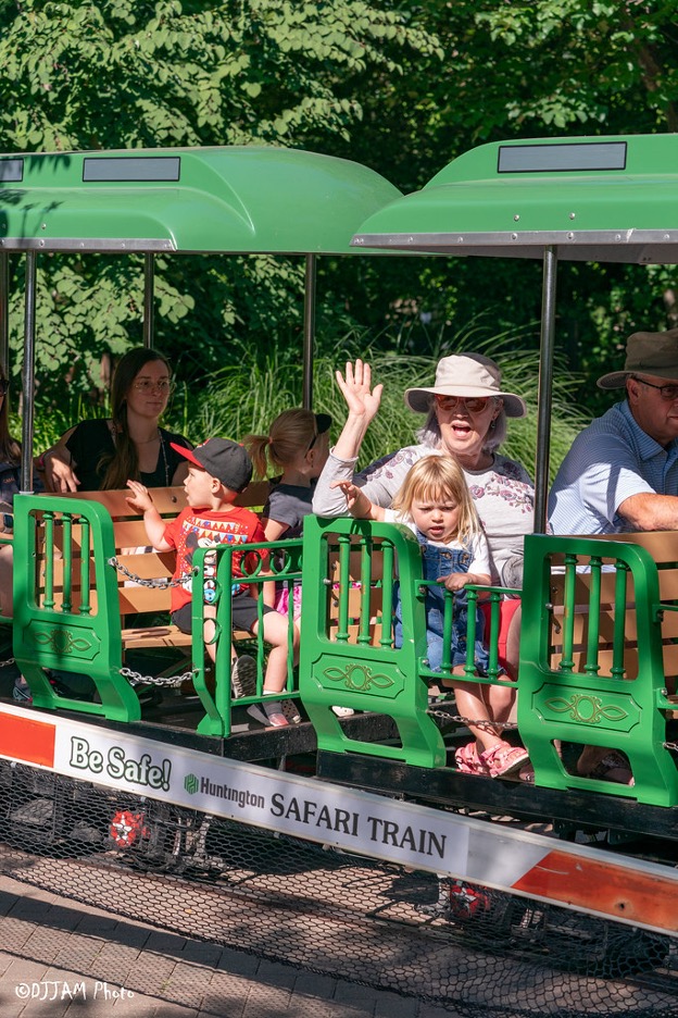train ride
