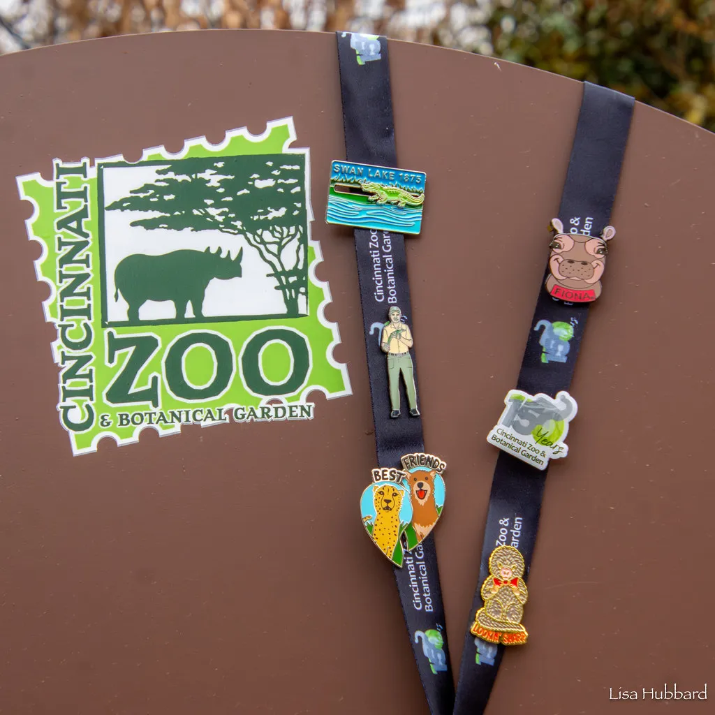 pin trading
