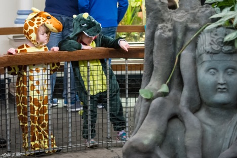 kids in animal costumes looking at animals in the reptile house