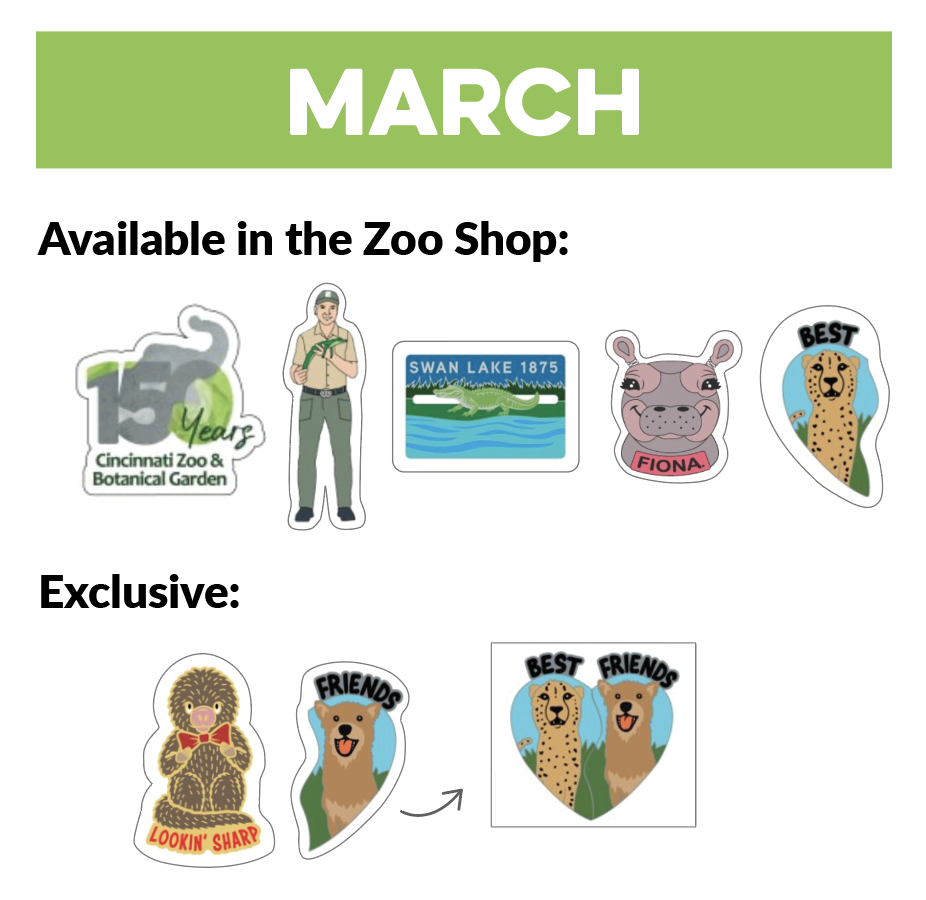 pin trading