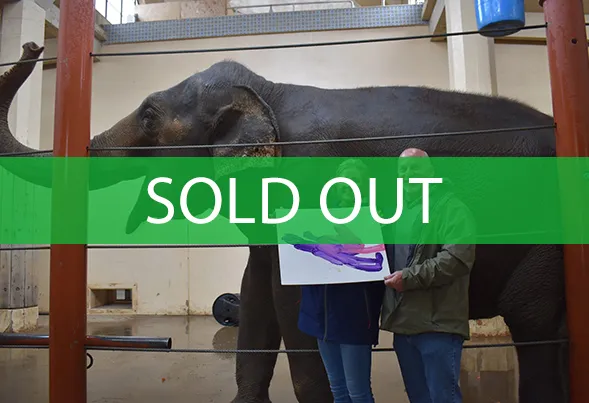 elephant extravaganza sold out