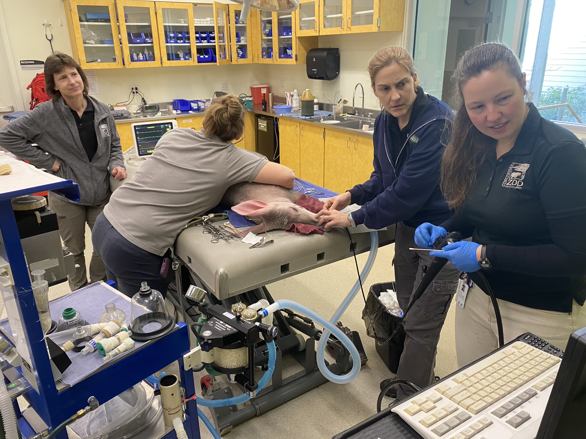 Vet Staff at the Cincinnati Zoo